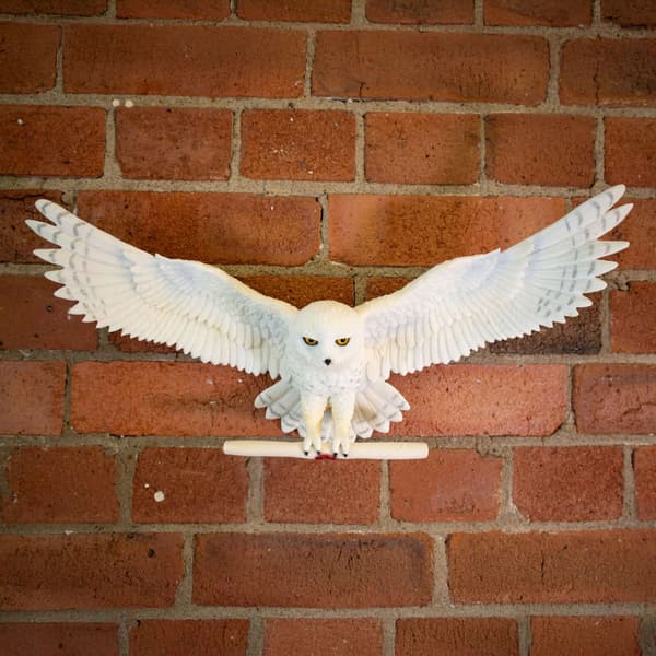 Jadwiga wall decoration, Owl Post, Harry Potter