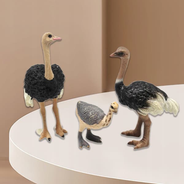 3x Bird models Ostrich model Animal figurines Sculptures Science Educational