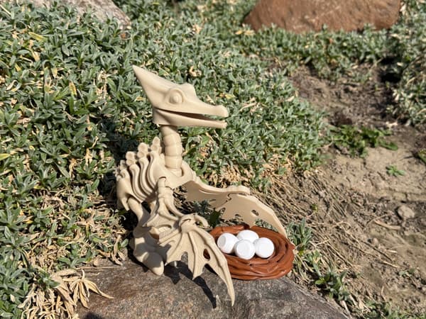 3D Pteranodon Skeleton + Nest with Eggs – a movable, articulated model