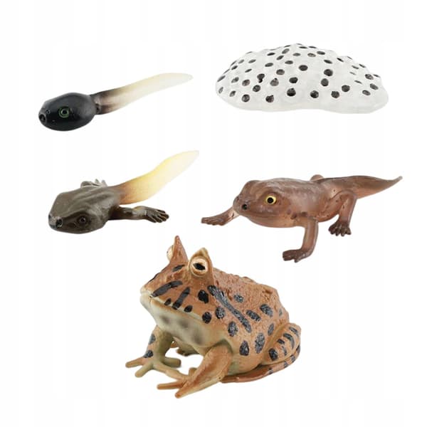 Life cycle figurines – Realistic animal style C
