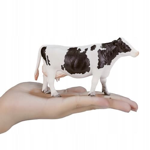 Mojo, the Holstein cow