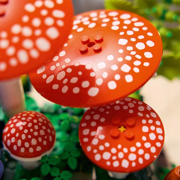 LEGO Botanicals 11505 Forest Mushrooms