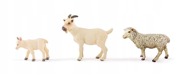 A farm with animals