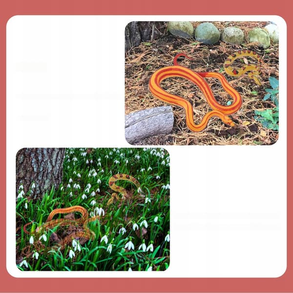 2 REALISTIC PLASTIC SNAKES – DECORATIONS AND TOYS
