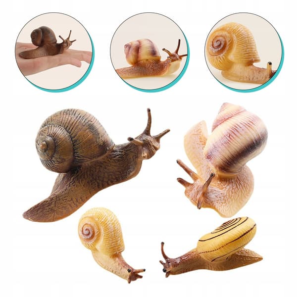 4-PIECE REALISTIC SNAIL MODEL – CAKE DECORATION AND EDUCATIONAL AID