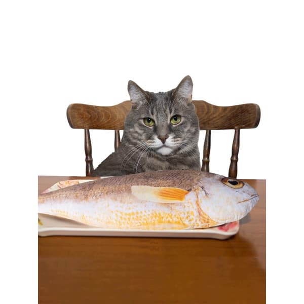 Fancy – soft fish, 98 cm