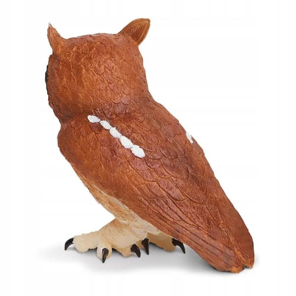 Eastern Screech Owl