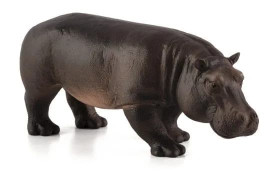 Mojo Hippo (female)