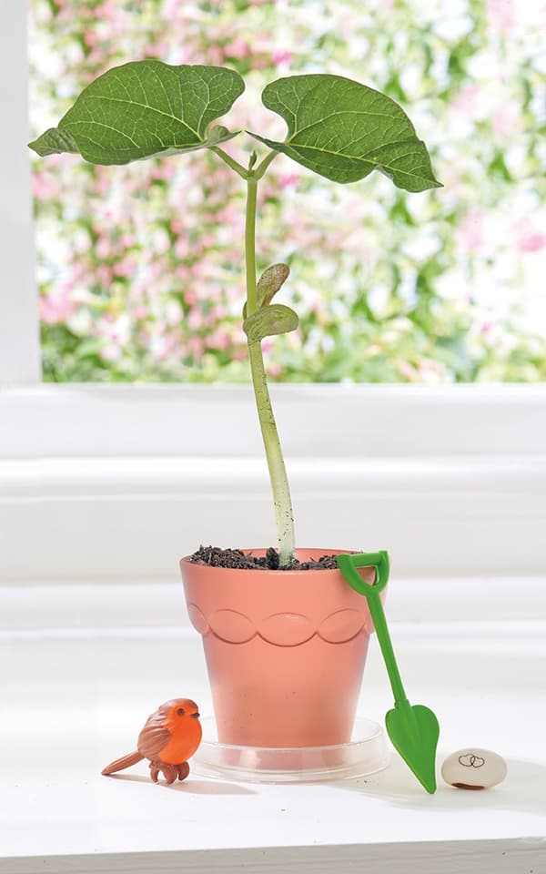 TOMY E72785 Mini Fairy Pot