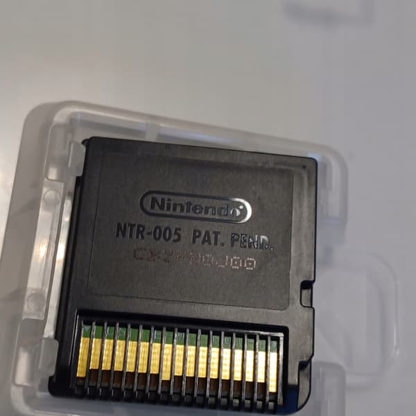 Blood Bowl, Nintendo DS