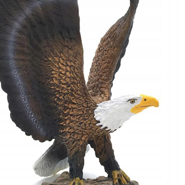 5x Hand-Painted Lifelike Bird Simulation Educational Toy Model Style C