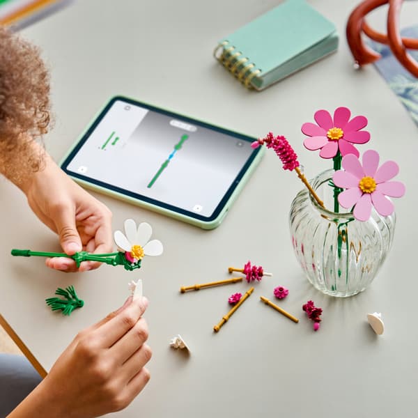 LEGO Botanicals Cosmos 11514