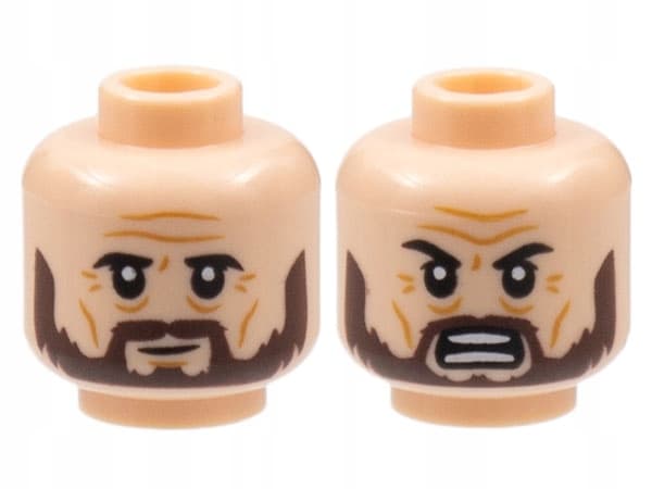 LEGO Harry Potter Sirius Black hp352 minifigure