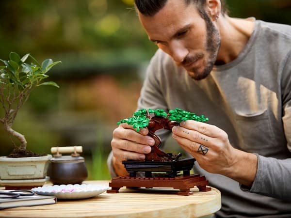 LEGO BOTANICALS Bonsai Tree 10281