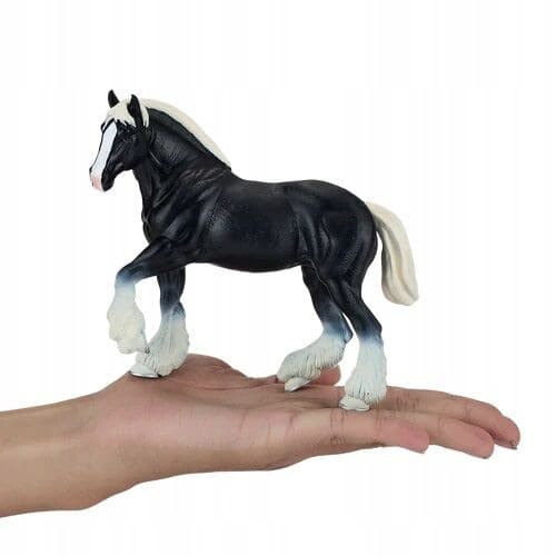 Mojo, a black Clydesdale horse