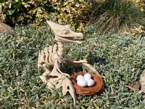 3D Pteranodon Skeleton + Nest with Eggs – a movable, articulated model