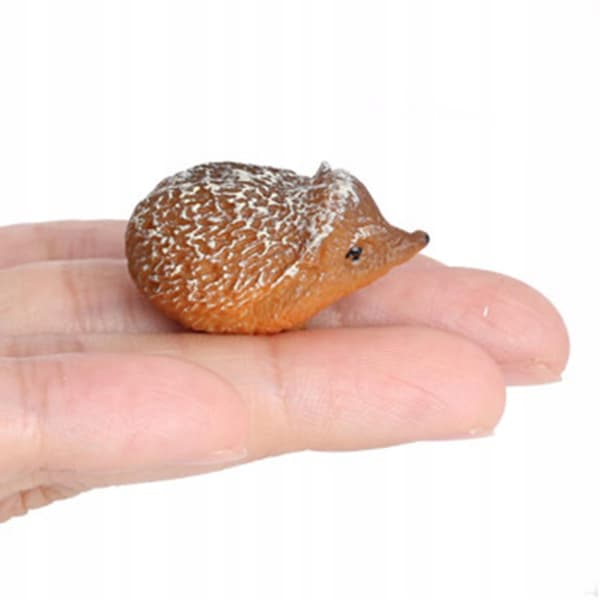 Animal Model Plastic Science Home Decor Play Set Educational Hedgehog