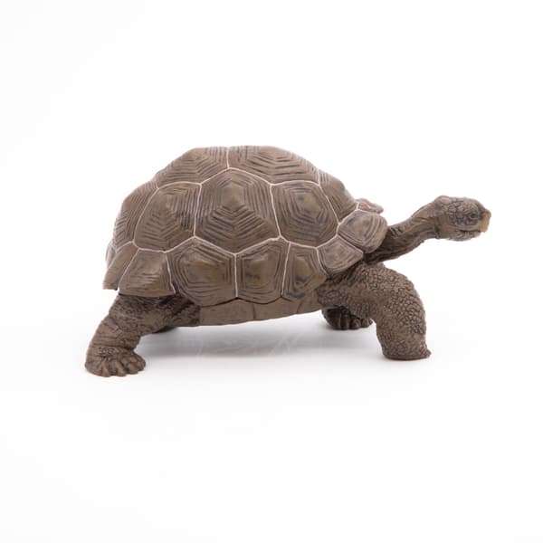 GALAPAGOS TURTLE [FIGURINE]