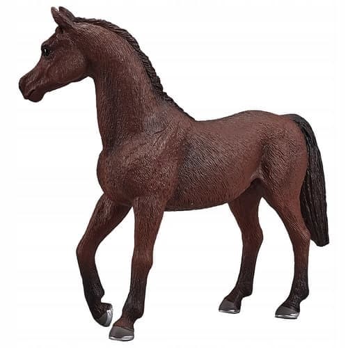 Mojo, a chestnut Arabian stallion