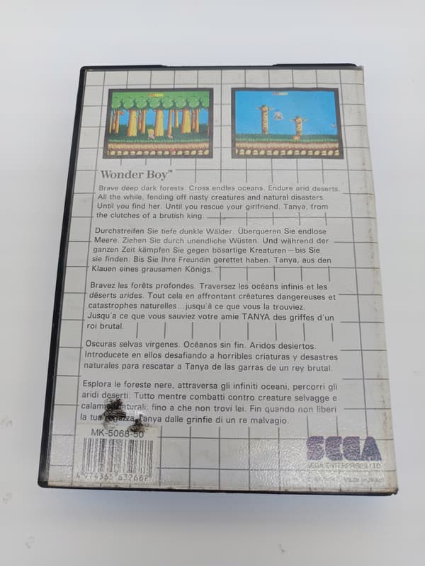 Wonder Boy for the Sega Master System – box only