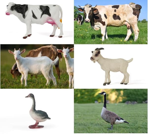 ANIMAL FIGURES SET 11-PIECE: COWS, PIGS, GOAT, TRACTOR – GIFT SET