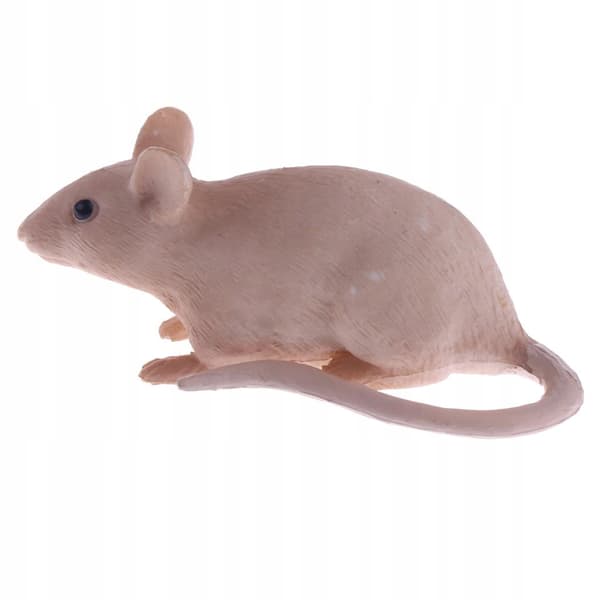Realistic PVC animal model figurines, educational mouse action figurine