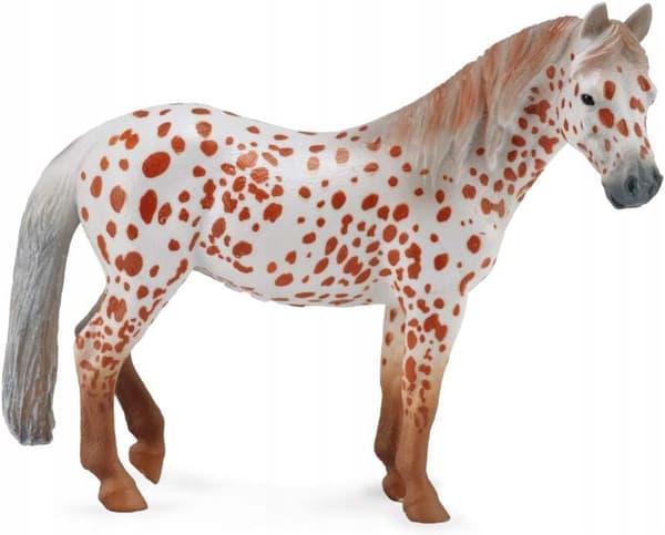 A BRITISH SPOTTED PONY MARE, LEOPARD CHESTNUT [
