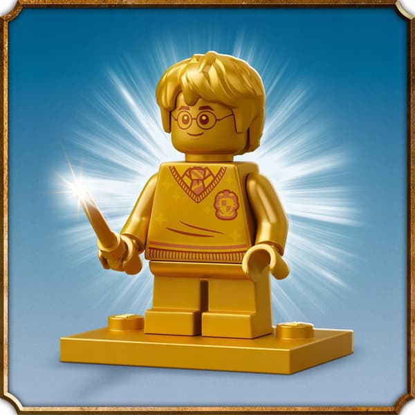 LEGO Harry Potter: The Potion Mix-up 76386