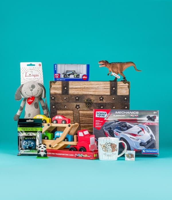 ‘Oscar’ toy box