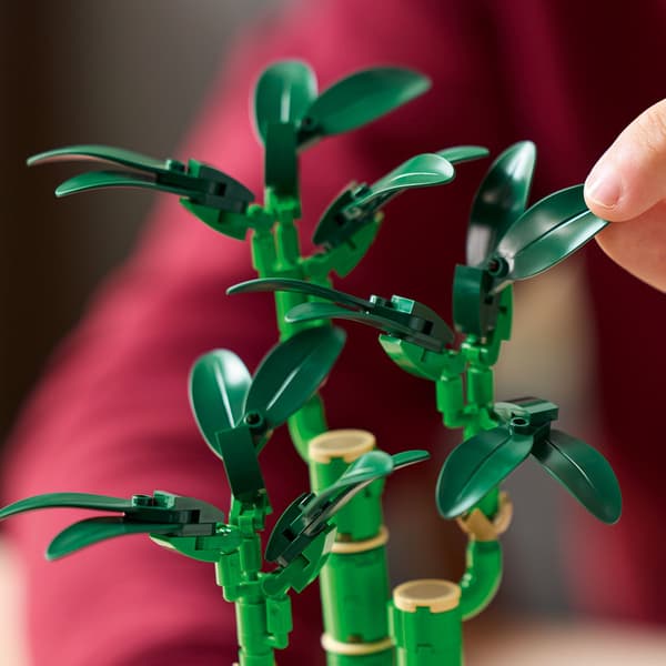 LEGO Botanical Collection 10344 Dracaena sanderi: Lucky Bamboo