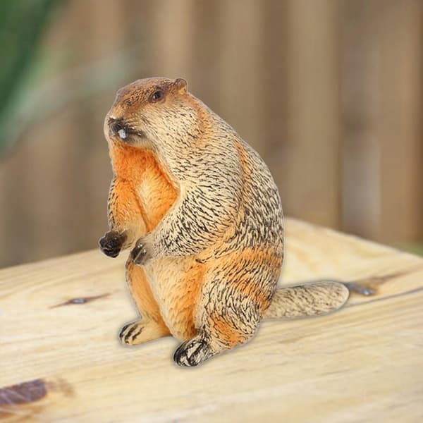 Animal model simulation: A realistic marmot toy for studying landscape style D