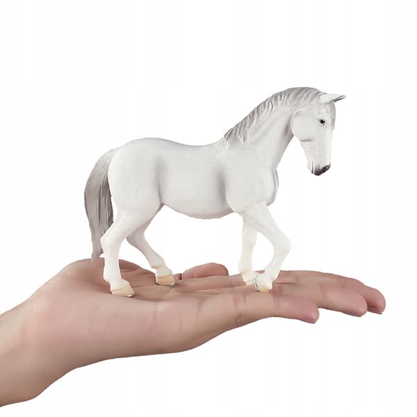 Mojo, a Lipizzaner mare