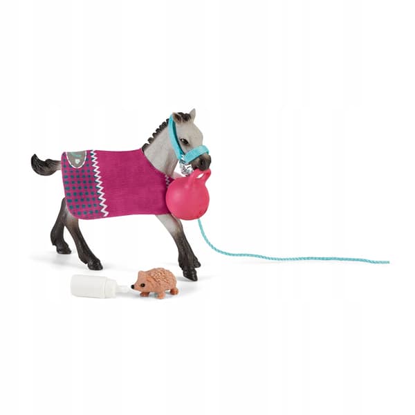 Fun for pets