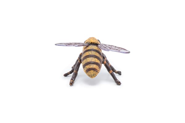 PAPO ALBINA FIGURINE