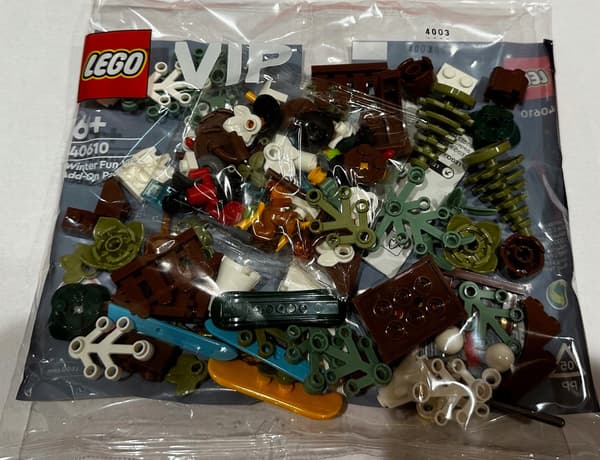 LEGO 40610 – Winter Fun – VIP expansion set / Unique