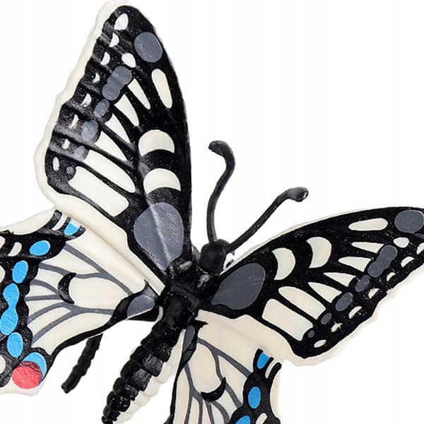 Educational resources for learning about animal models: Swallowtail Butterfly Favours