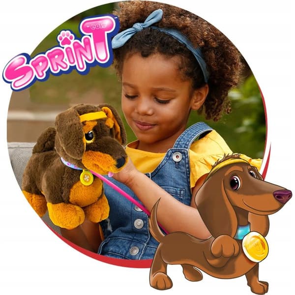 Sparky’s Sprint: Dachshund Puppy