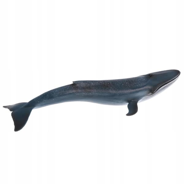 Realistic animal whale models Action figures Children