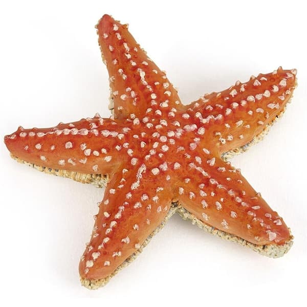 Decorative ORANGE STARFISH figurine – COLOURFUL SEA CREATURES
