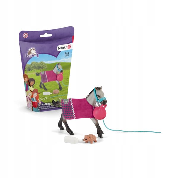 Fun for pets