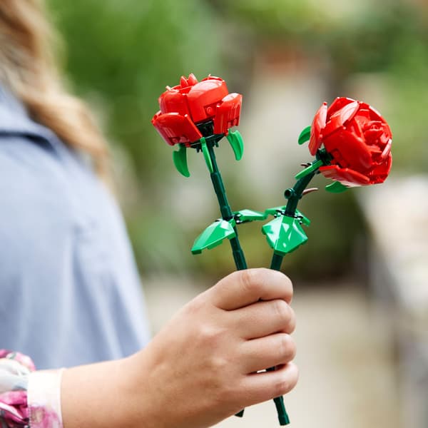 LEGO Botanicals Roses 40460