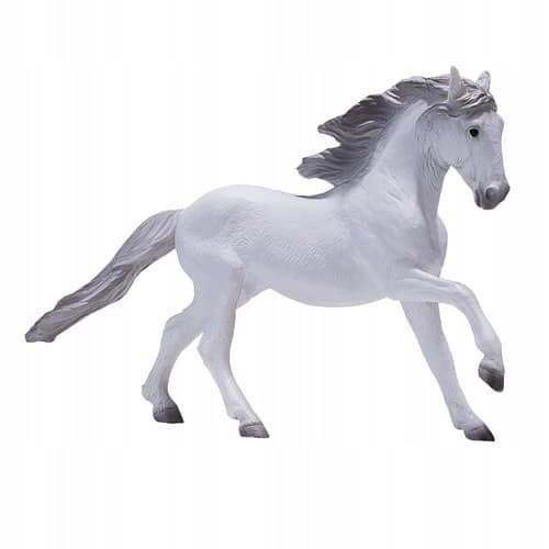 Mojo, a white Lusitano horse