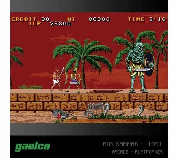 Evercade Gaelco Arcade 2 Retro Game