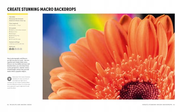 The Ultimate Photography Ideas Book: 60 Creative Projects Covering Every