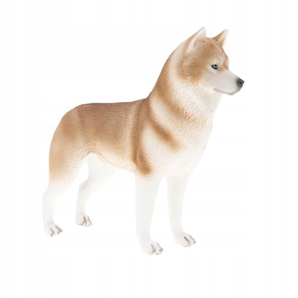 Animal simulation models Figure model Plastic figurine Children Educational