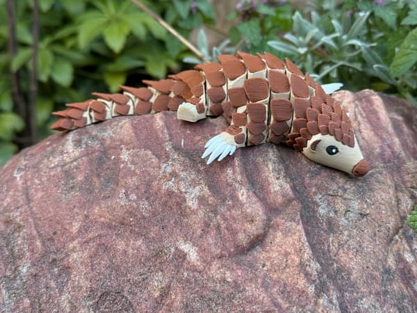 3D Pangolin – A Modular Figurine in a New, Multicoloured Design, toy