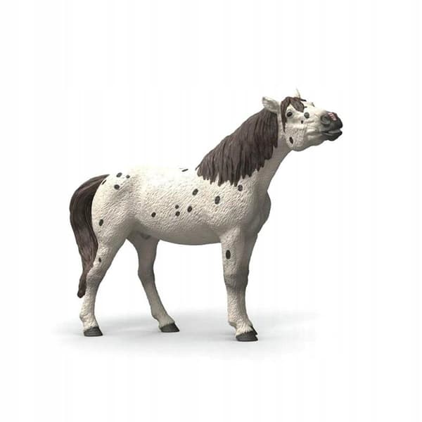 THE KNABSTUB STALLION