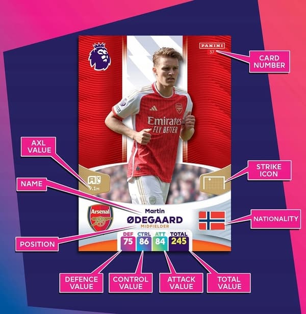 PANINI PREMIER LEAGUE 2024 STARTER PACK + CARDS
