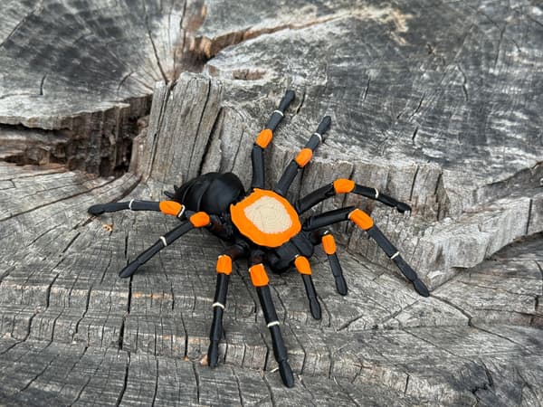 Tarantula 3D – a realistic, articulated spider, a unique figurine