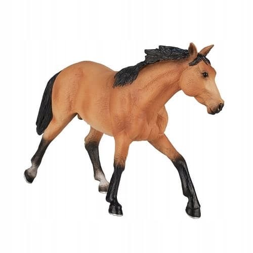 Mojo, the Quarter Horse swimmer
